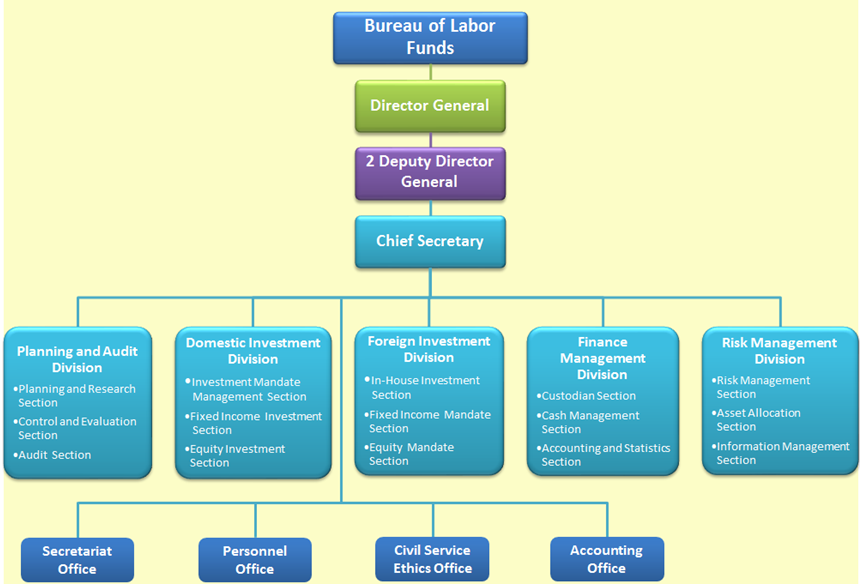 Organization Structure